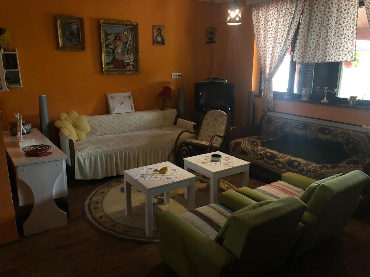Bačka Palanka Salas Gnijezdo מראה חיצוני תמונה